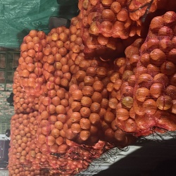 mallas de naranjas 